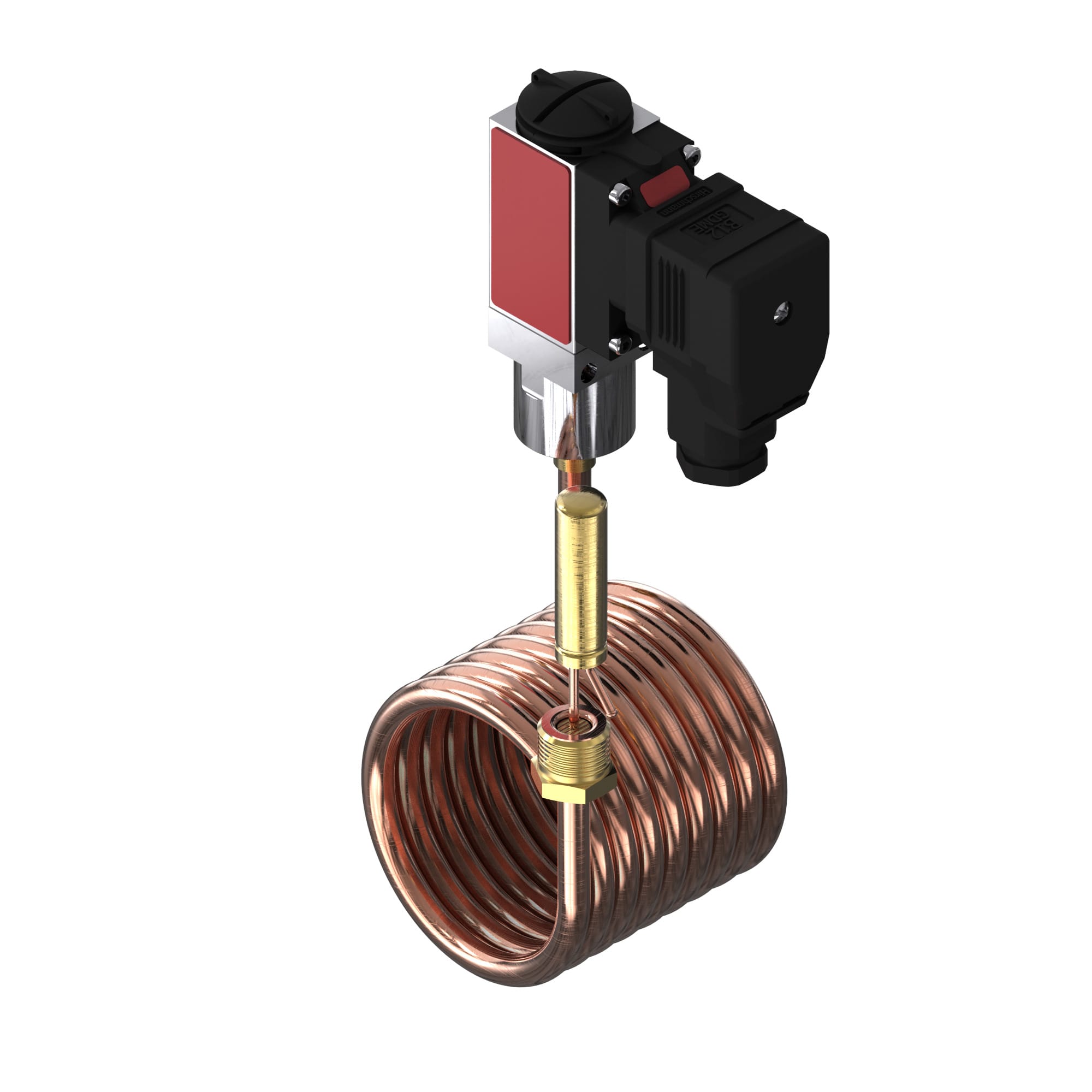 Image of the product