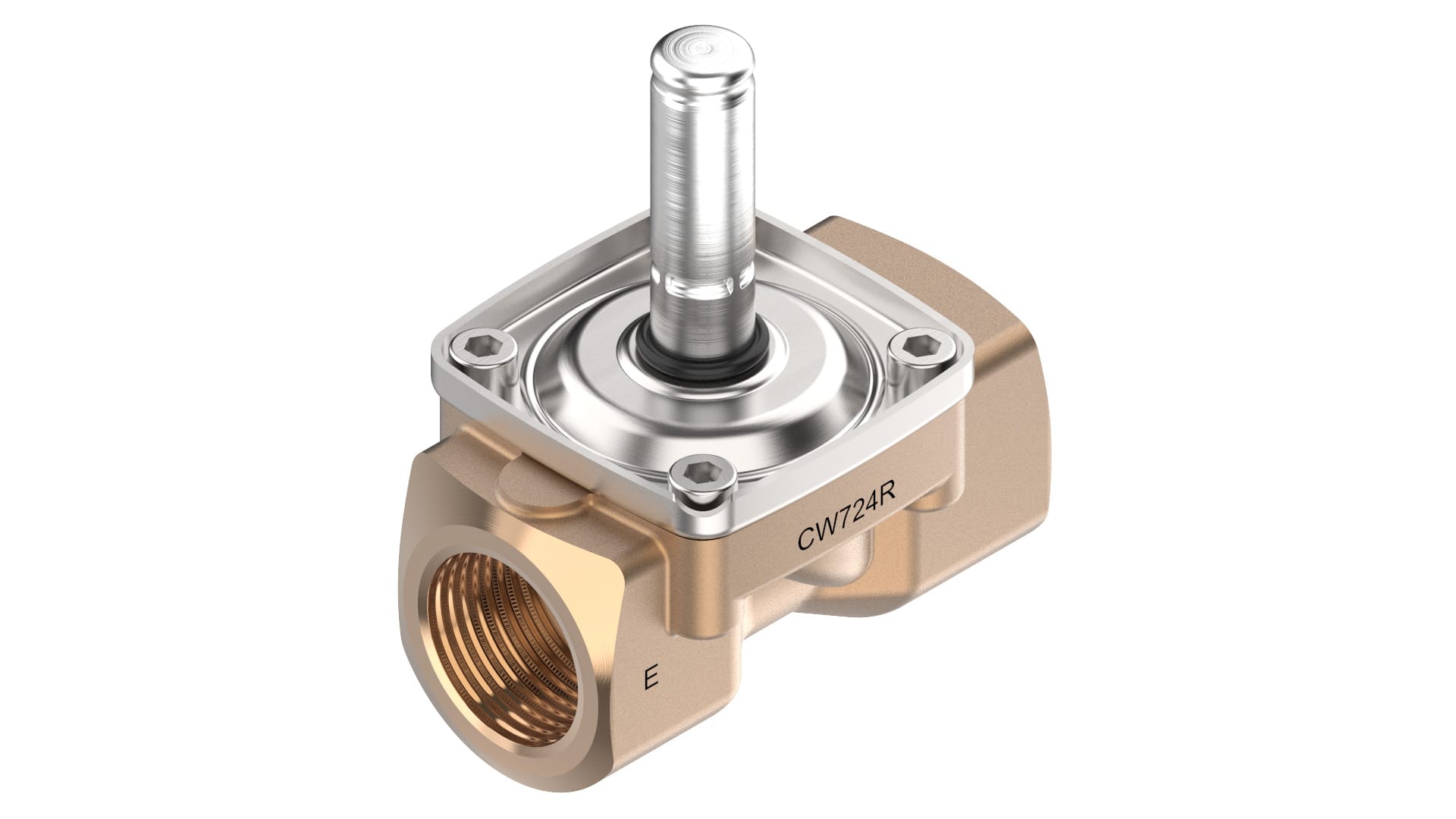 Image of the product