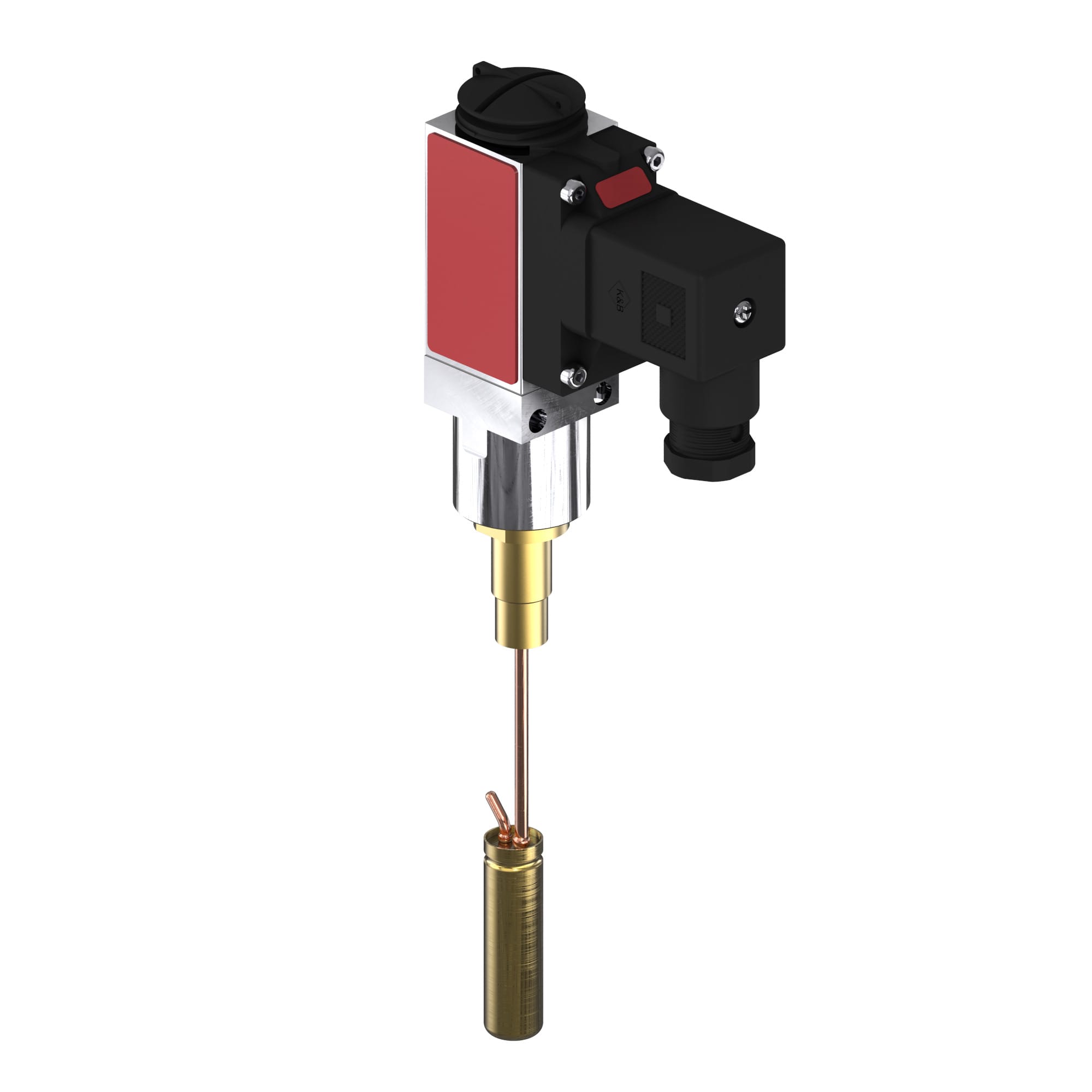 Image of the product