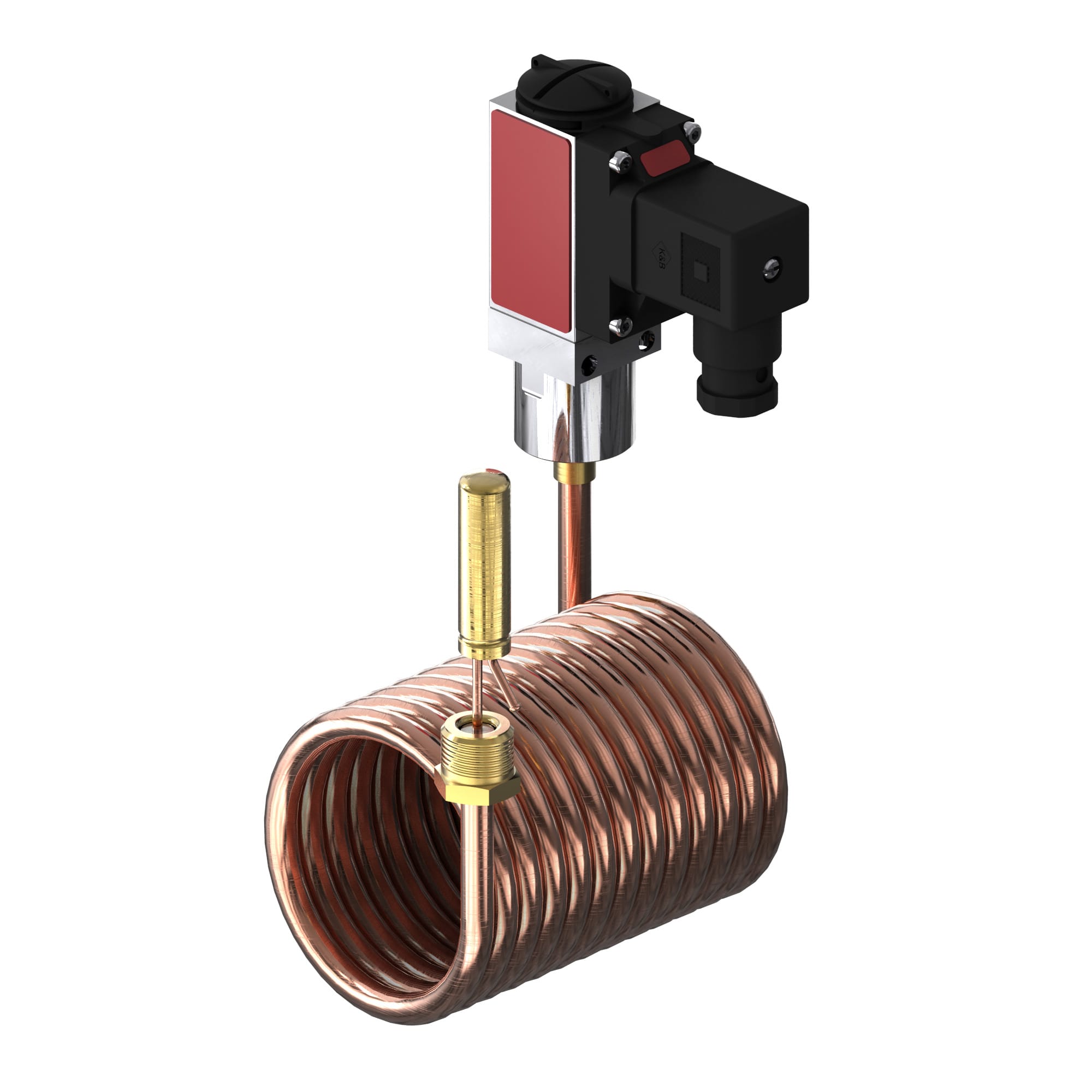 Image of the product