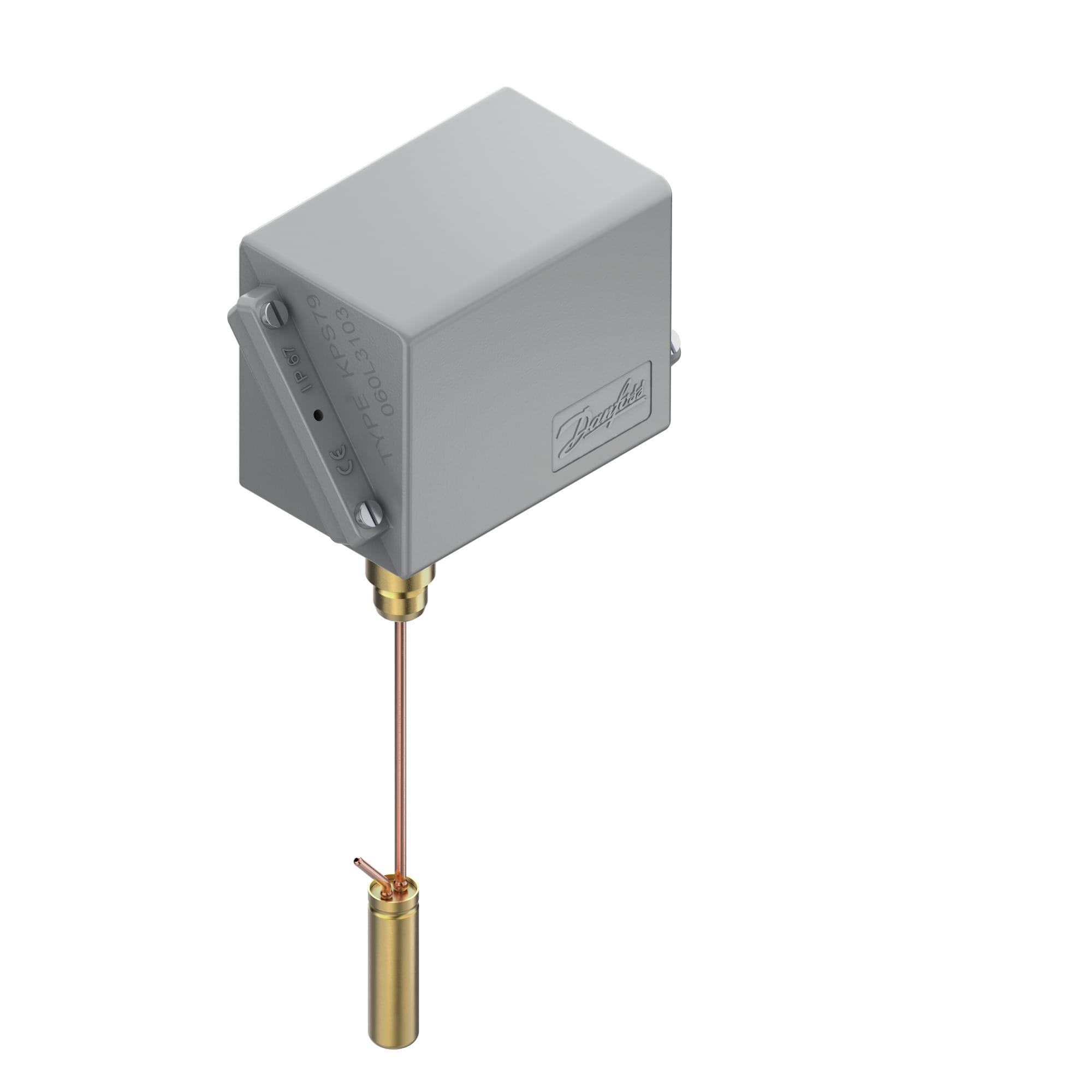 Image of the product