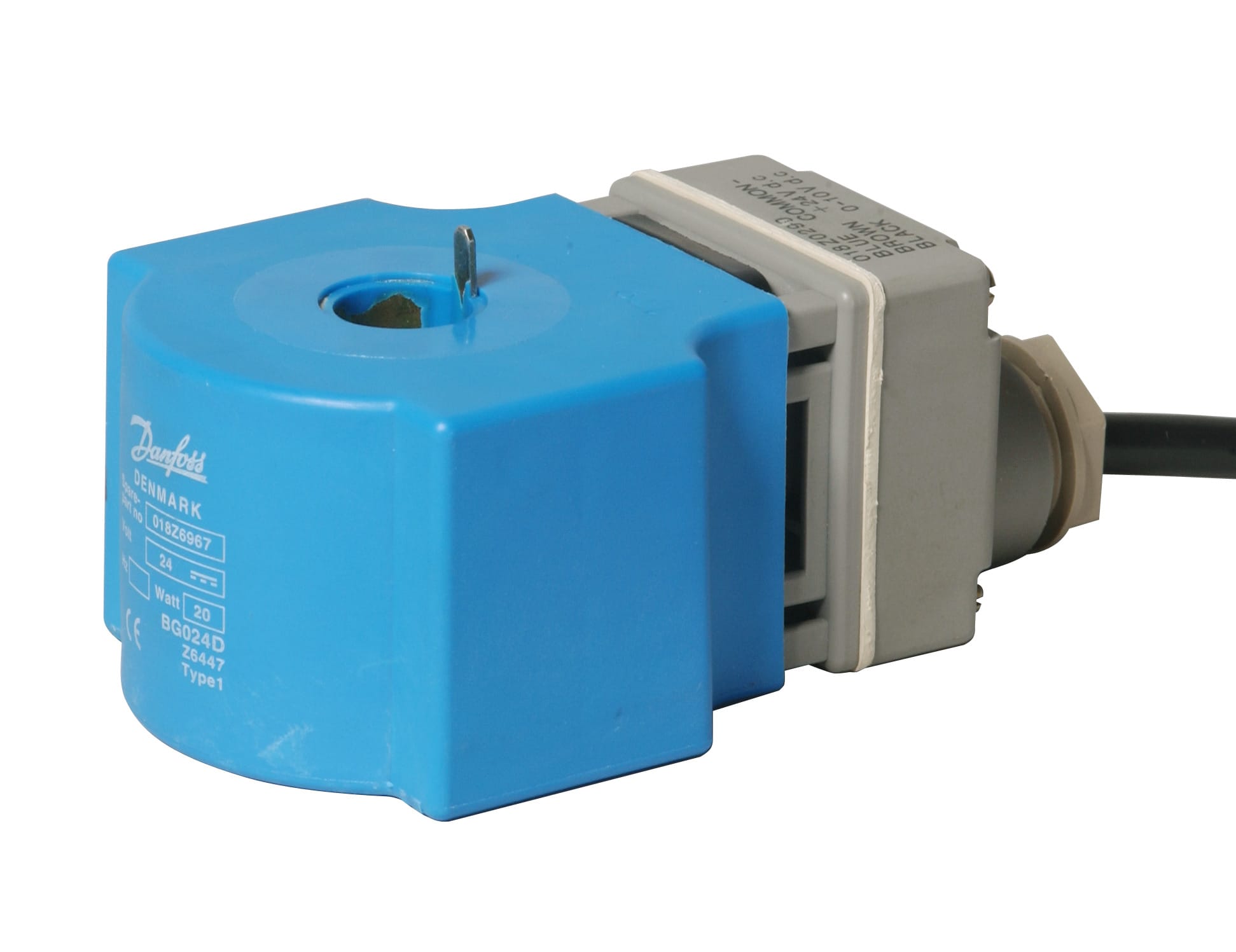 Image of the product