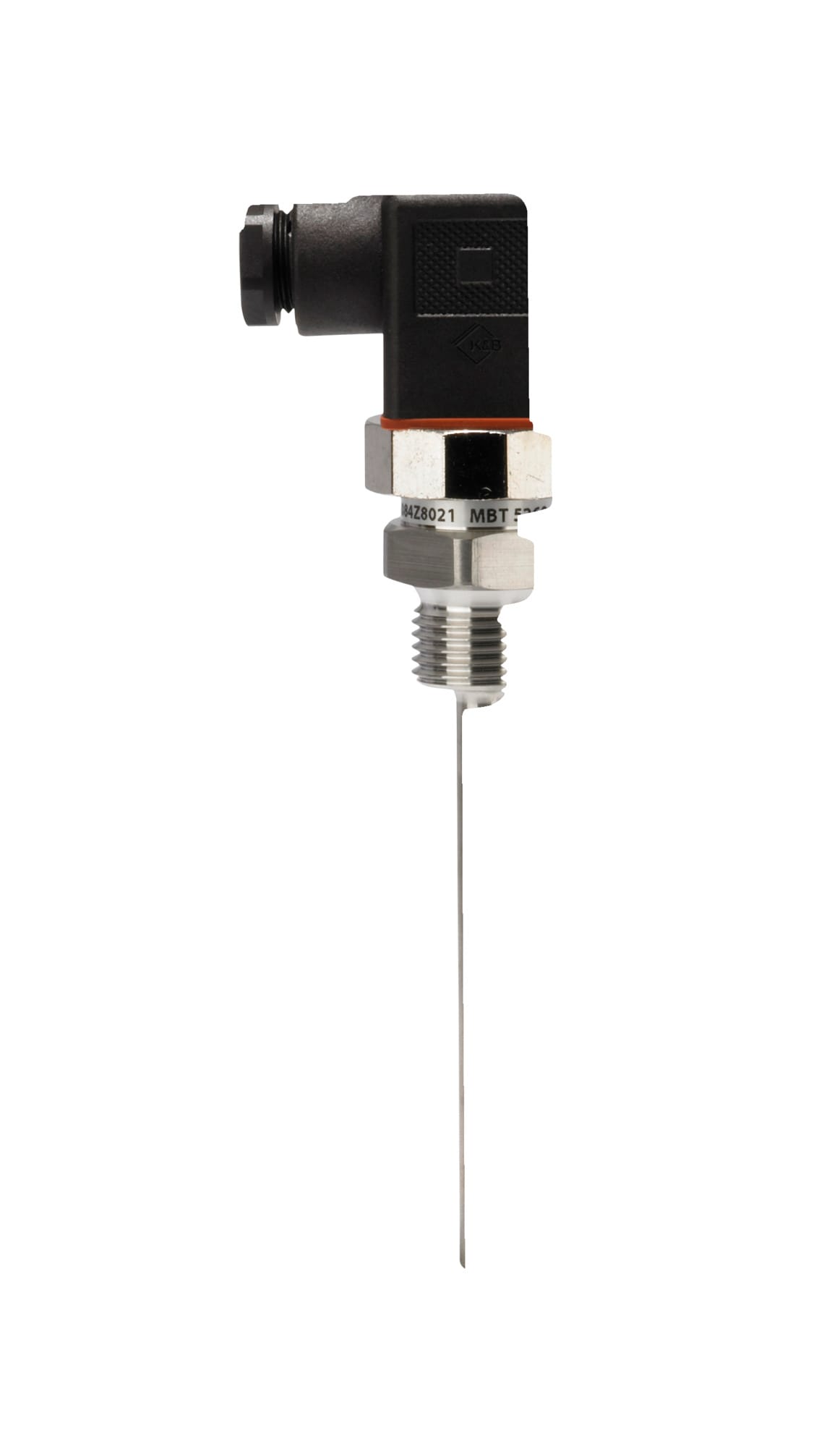 Image of the product