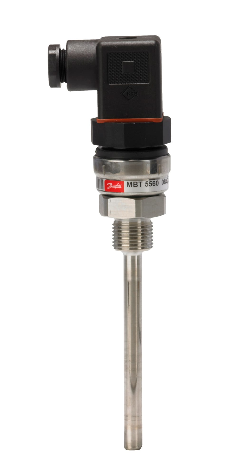 Image of the product