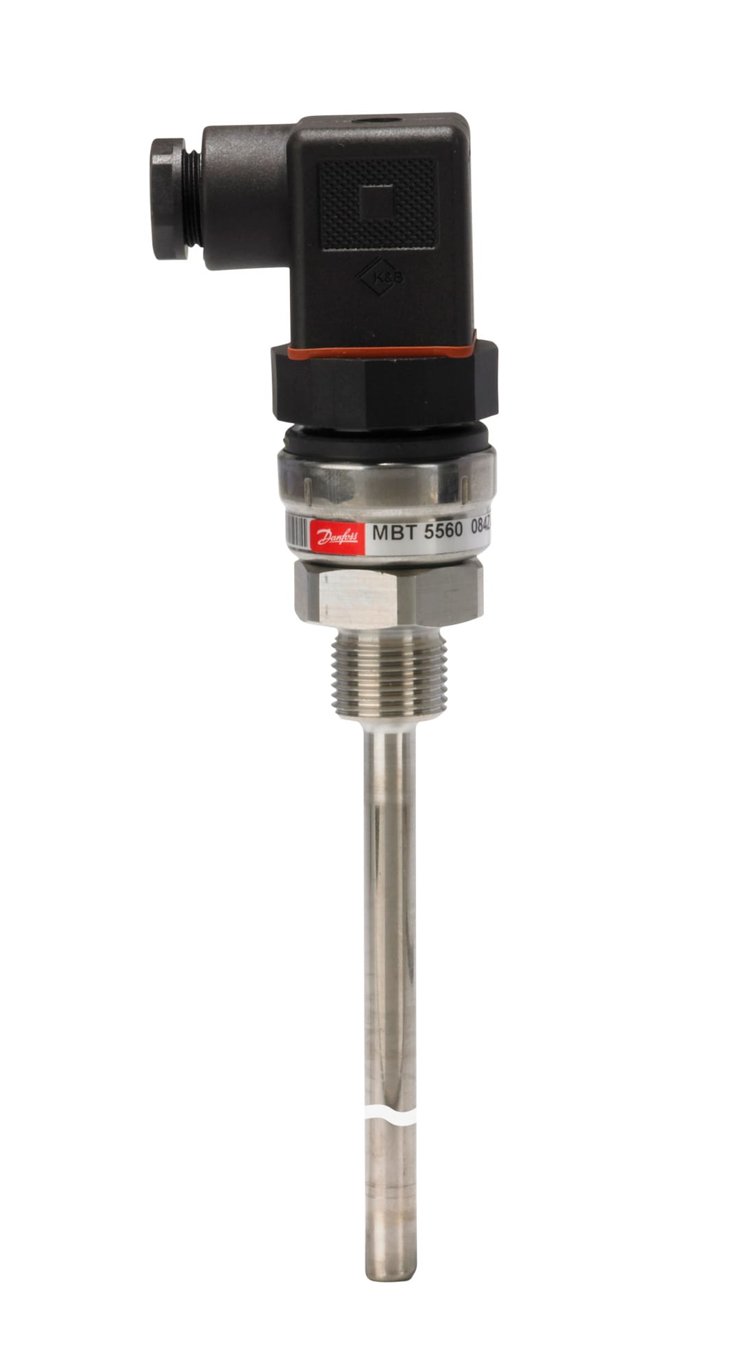 Image of the product