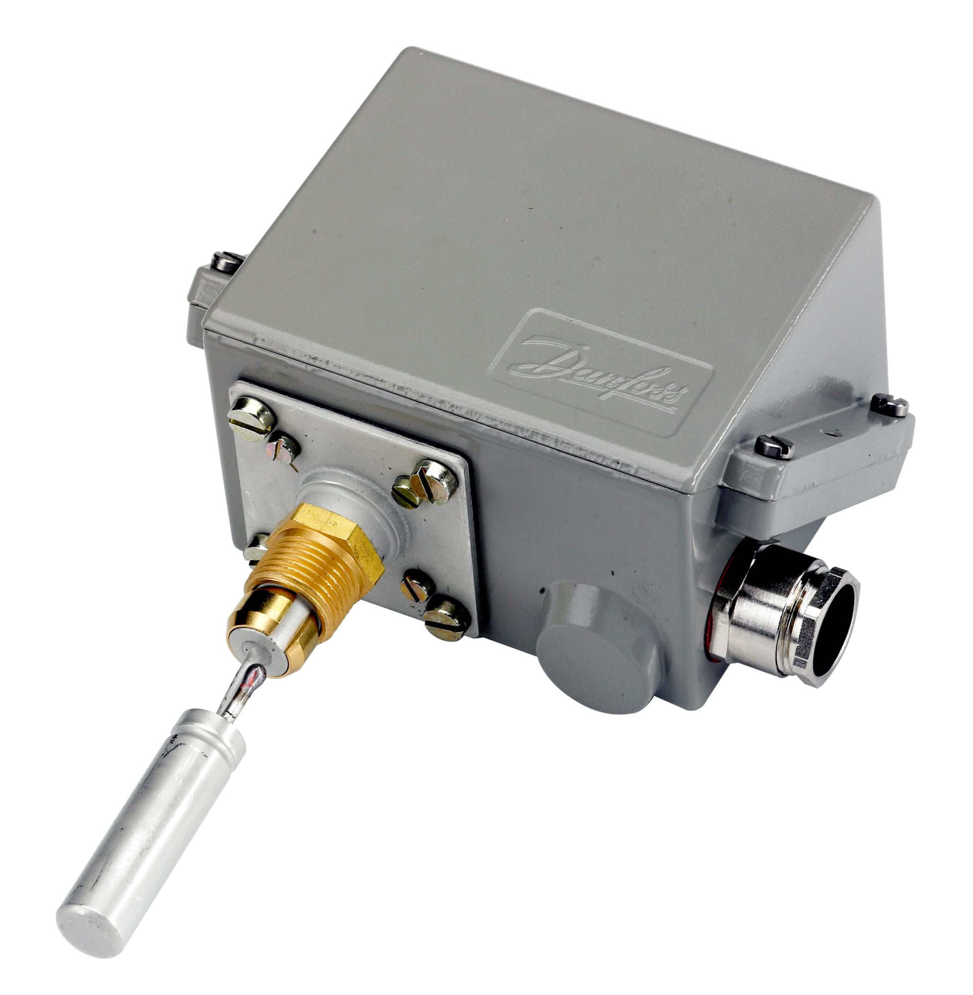 Image of the product