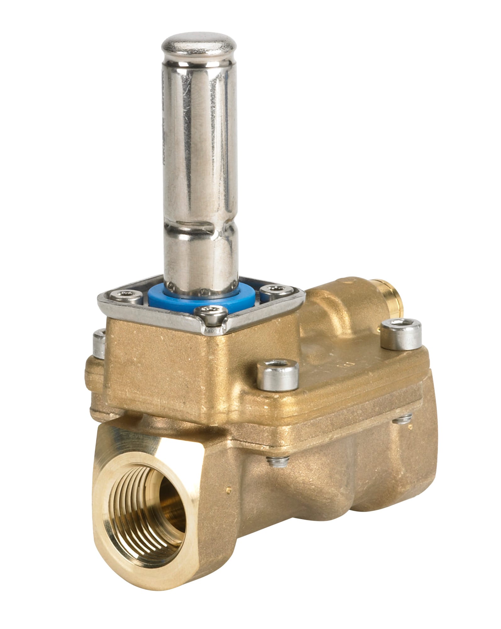 Image of the product