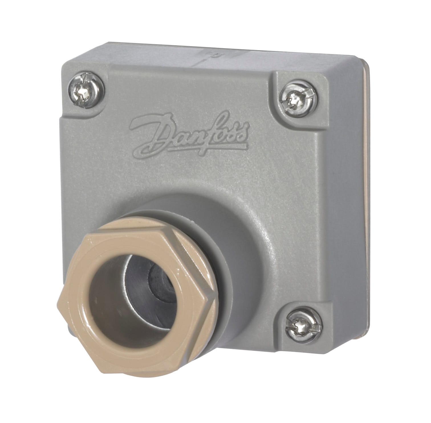 Image of the product