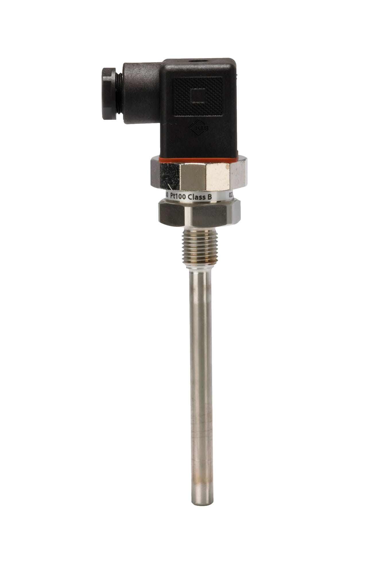 Image of the product