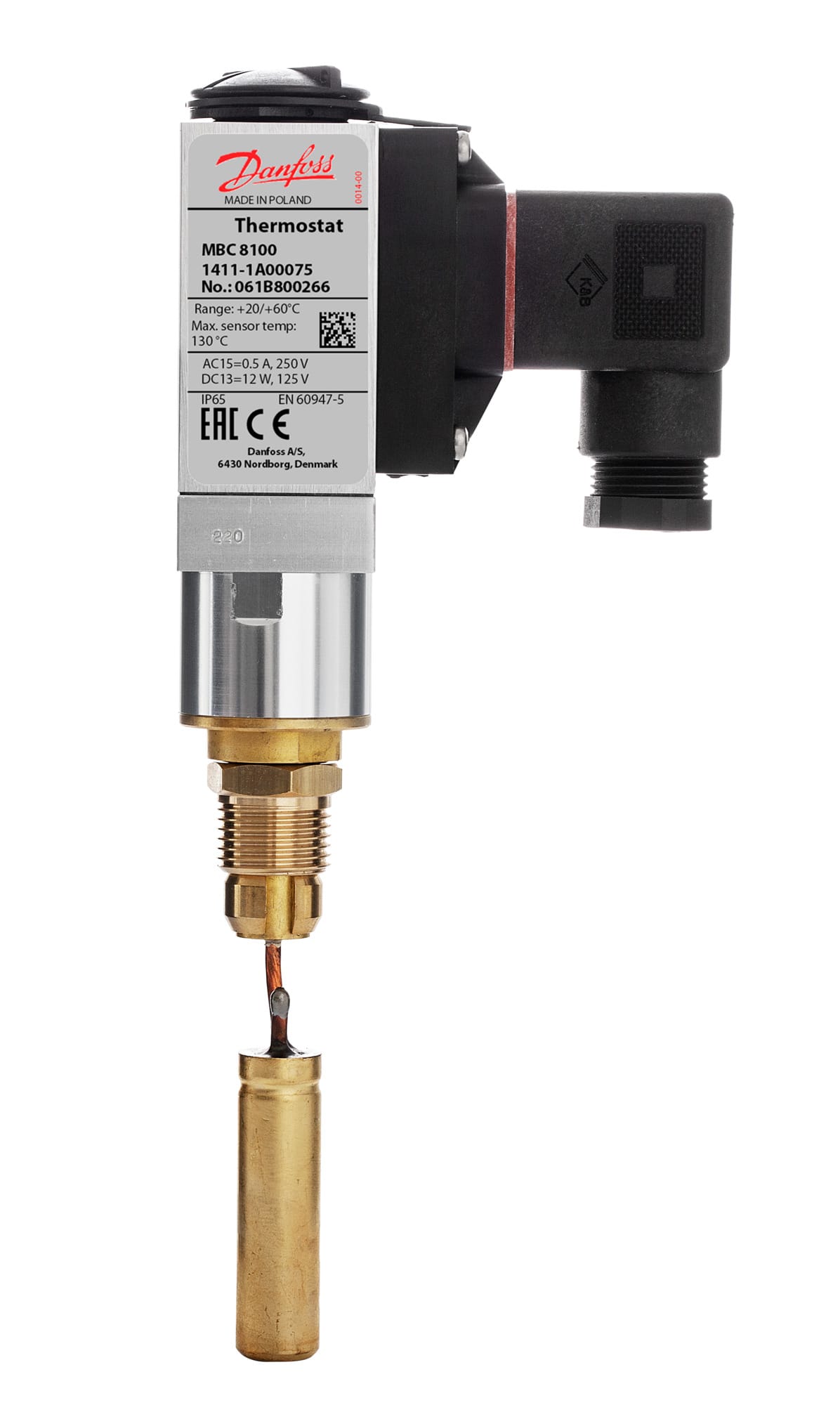 Image of the product