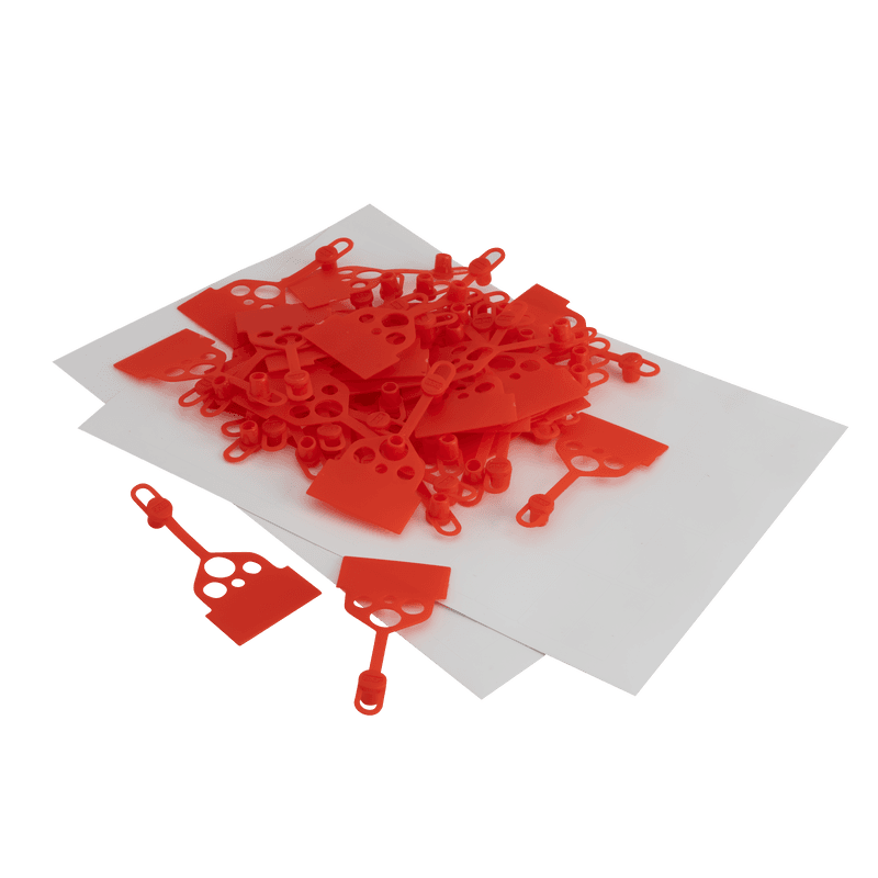 Image of the product